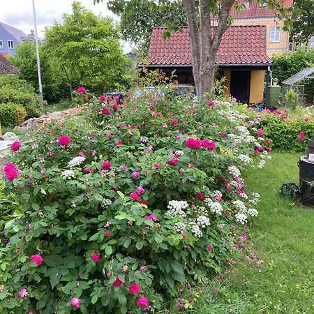 Den Gamle Skomager Ved Slotssoen Gråsten