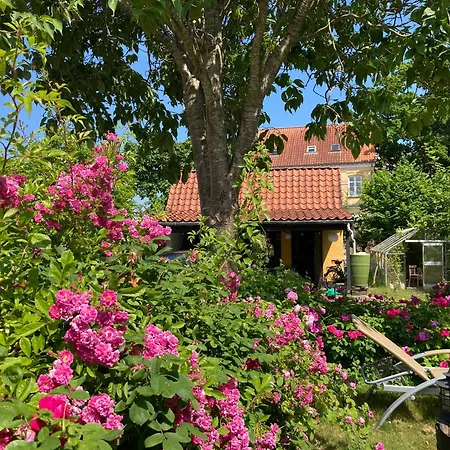 Den Gamle Skomager Ved Slotssoen Dom wakacyjny