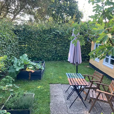 Den Gamle Skomager Ved Slotssoen * 加斯庭